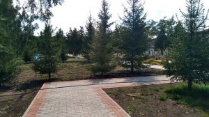 Во дворе университета ЧГПУ  (ЧГПИ) #чгпу #грозный