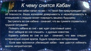 К чему снится Кабан – толкование сна по Соннику