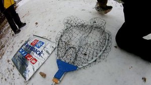 ? Ловля ФОРЕЛИ зимой на платнике. ТРОФЕЙ на 3,5 кг | Рыбалка на Форель: снасти, блесны, приманки