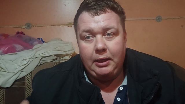 Какую выбрать породу пчёл? пчеловодство. Бакфаст