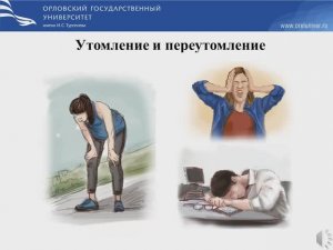 Утомление и переутомление