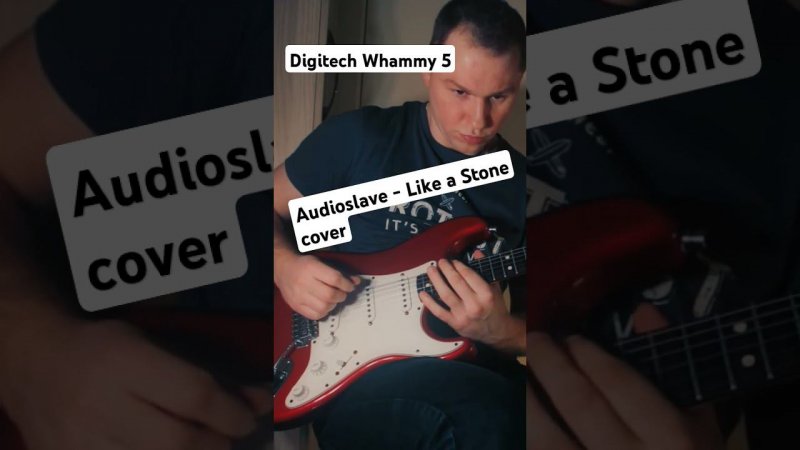 Like a Stone - Audioslave solo cover. Digitech Whammy 5 #digitechwhammy