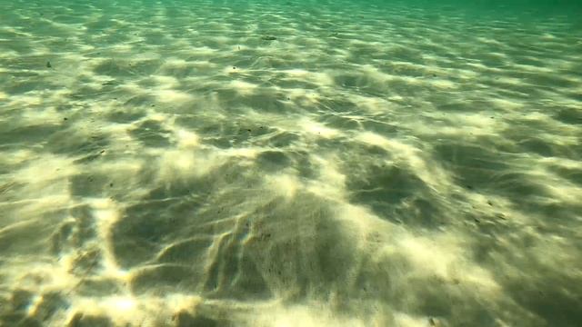 Море так и манит  Поплаваем с Медузами и Рыбками пляж Атмосфера Межводное.mp4