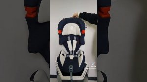 автокресло Inglesina prime miglia ( инглезина прайс миглия)