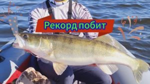 Побил свой рекорд! Трофейный судак! Ловля щуки, судака, окуня, жереха на джиг, на Волге летом.