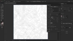 Topographic Map Pattern