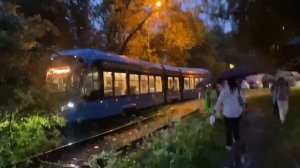 🚋На Халтуринской улице движение трамваев парализовало рухнувшее дерево🚋