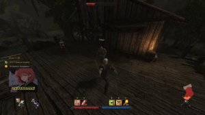 Бесконечный опыт, золото, оружие в Risen