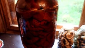 Идея для хранения грибов! Кег из-под пива.