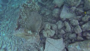 Housereef Amaya Kuda Rah - Maldives