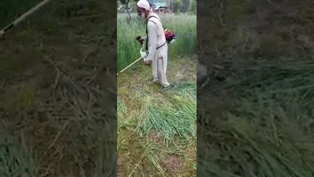 Brush Cutter 4 Stroke Side Pack Crop Cutter смотреть онлайн