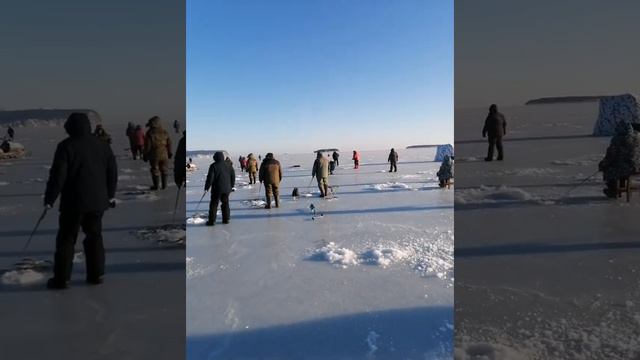 Корюшка Де-Кастри 2022 смотреть онлайн