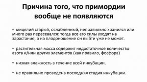 Примордии желтеют, засыхают или гниют.