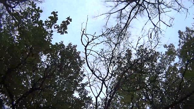 Тестируем экшн видео камеру Sony смотреть онлайн