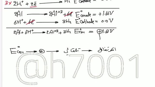 الفصل الرابع  شرح هل يمكن 4  2024