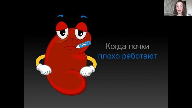 Все о почках для детей 6-11 лет