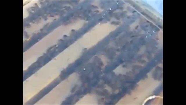 Зимовка пчёл в ульях из пенополистирола смотреть онлайн