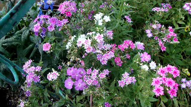 Миляуша Имашева Улыма смотреть онлайн