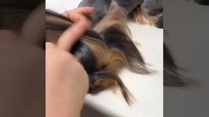? Завязываем самый простой хвостик Top Knot