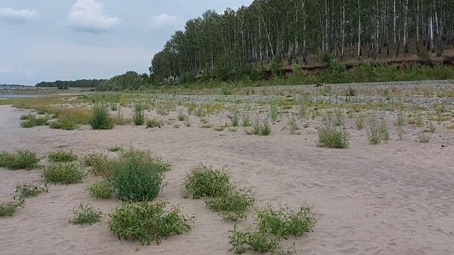 14 июля 2023 г. Аргазинское водохранилище, Байрамгуловский залив.