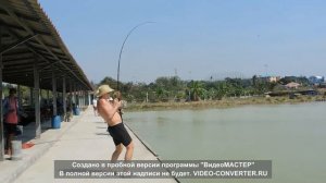Рыбалка в Паттайе. Pattaya Fishing Park