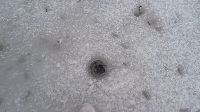 РЫБАЛКА 2021; ПОСЛЕДНИЙ ЛЕД ;И ТАКОЕ БЫВАЕТ!!!! смотреть онлайн