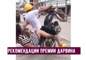 Рекомендации премии Дарвина