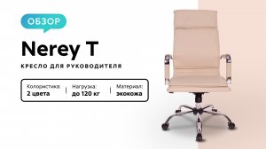 Обзор кресла для руководителя Nerey T