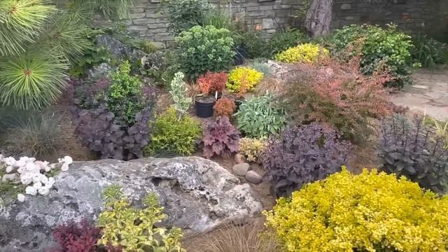 Растения из сада для бордюра(Украина) смотреть онлайн