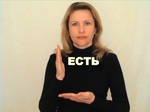 ЖЕСТОВЫЙ ЯЗЫК. СЛОВАРЬ. Есть