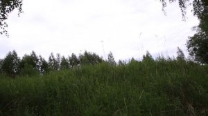 Рыбалка на Черемухе