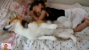 ОЧЕНЬ МИЛОЕ ВИДЕО собаки заботятся о детишках!!! VERY CUTE VIDEO dogs take care of the kids!!!