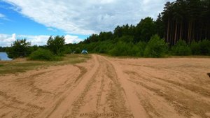 Романтика и дикость человеческого отдыха на природе. Келколово, 30 км от Санкт-Петербурга