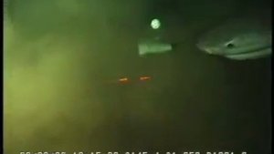 Огромная шестижаберная акула