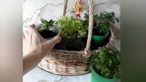 Применение плетёной корзины