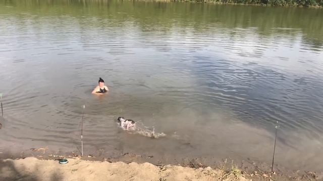 Рыбалка Осенью В Астраханской Области На Сазана Икрянинский Район, Отдых Дикарями на Берегу Реки смотреть онлайн