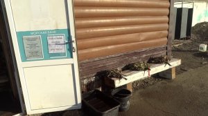 зима в Анапе