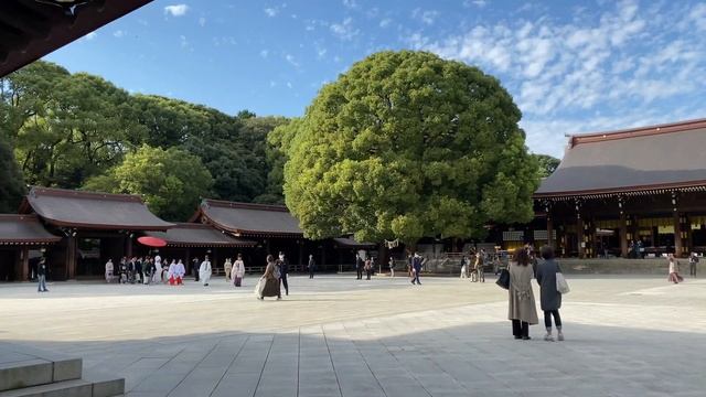 Жир Кита, Который Стоит Дороже Золота, И Ценится Парфюмерами По Всему Миру смотреть онлайн