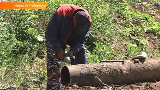 Садоводство