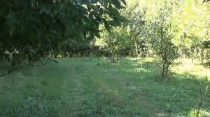 Тест насадки Супер гусь