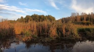Озеро своими руками. Нашел еще одно русло