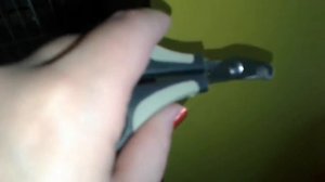 Нужно ли попугаю стричь ногти и клюв?