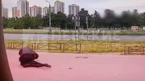 Момент жестокого избиения мигранта у бара в Купчино попал на видео