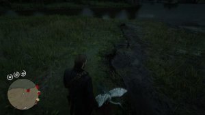 Red Dead Redemption 2 - Ночная банда. Орхидея Крысиный хвост. Револьвер азартного игрока