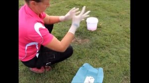 Horse Castration Standing by Dr Louise Cosgrove (Equine Vet)