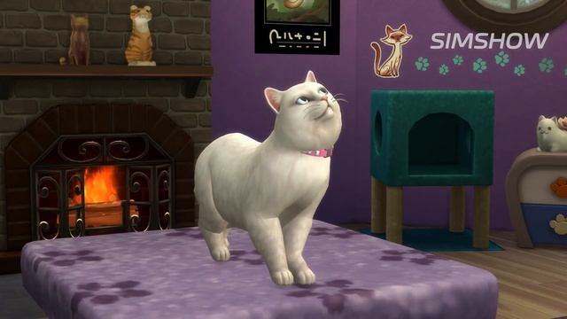 ТОП5 | Лучшие дополнения для The Sims 4