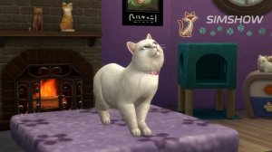 ТОП5 | Лучшие дополнения для The Sims 4