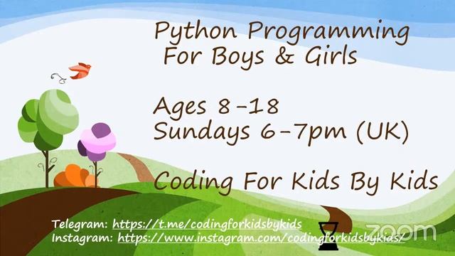 Python Lesson 3: Feedback