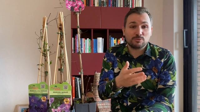 Planting 3 Different Clematis Varieties in Containers смотреть онлайн