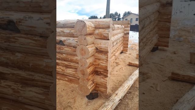 Строим дома, бани.. из кругляка.. Опыт 15лет смотреть онлайн